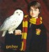 Harry_Potter_-_Portada